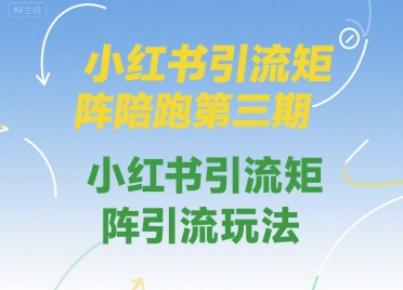 小红书引流矩阵陪跑第三期,小红书引流矩阵引流玩法-阳知网创资源库
