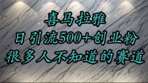 喜马拉雅,小而精的流量赛道,日进500+精准创业粉-阳知网创资源库
