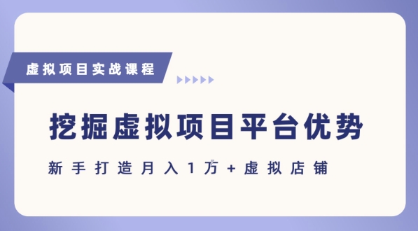 抓住虚拟项目各平台优势,新手轻松月入1W+(给出具体建议)-阳知网创资源库