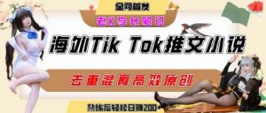 海外tiktok小说推文暴力项目,高停留率,高转化率,上手后一天搞顿饭钱不是问题-阳知网创资源库
