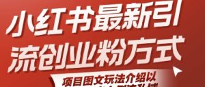 小红书最新引流创业粉方式，项目图文玩法介绍以及如何安全倒流私域-阳知网创资源库