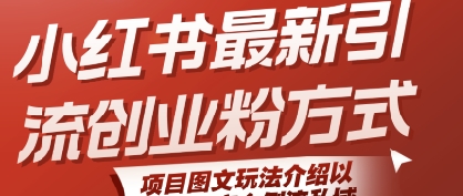 小红书最新引流创业粉方式,项目图文玩法介绍以及如何安全倒流私域-阳知网创资源库