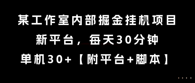 某工作室内部掘金挂G项目，新平台，每天30分钟，单机30+【揭秘】-阳知网创资源库