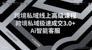 跨境私域线上高级课程,跨境私域极速成交3.0+Ai智能客服-阳知网创资源库