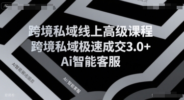 跨境私域线上高级课程,跨境私域极速成交3.0+Ai智能客服-阳知网创资源库