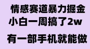 情感暴力掘金项目，新人操作一周挣了2W，长期稳定小白可做【揭秘】-阳知网创资源库
