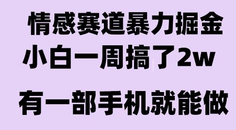 情感暴力掘金项目,新人操作一周挣了2W,长期稳定小白可做【揭秘】-阳知网创资源库
