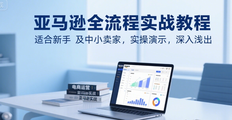 亚马逊全流程实战教程,适合新手及中小卖家,实操演示,深入浅出-阳知网创资源库