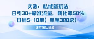 实测私域新玩法日引30加精准流量转化率50%日销5-10单每笔3张-阳知网创资源库