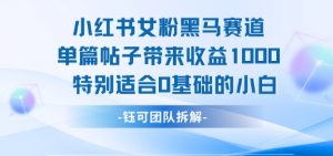小红书女粉黑马赛道单篇帖子带来收益1k+，特别适合0基础的小白-阳知网创资源库