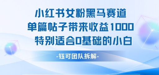 小红书女粉黑马赛道单篇帖子带来收益1k+，特别适合0基础的小白-阳知网创资源库