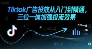 Tiktok广告投放从入门到精通，三位一体加强投流效果-阳知网创资源库