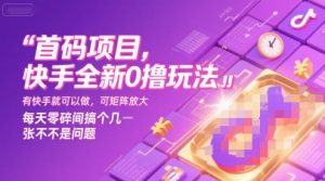 首码项目，快手全新0撸玩法，有快手就可以做，可矩阵放大，每天零碎时间搞个几张不是问题【揭秘】-阳知网创资源库