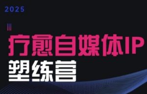 2025治愈自媒体IP训练营,专为疗愈领域从业者打造-阳知网创资源库