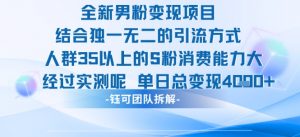 全新男粉变现项目引流人群35以上的男粉消费能力大 经过实测单日变现1k+-阳知网创资源库