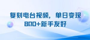 复刻电台视频，单日变现8张+新手友好，长期可做-阳知网创资源库