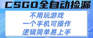 CSGO自动捡漏项目,最新独家玩法,不用挂G不用玩游戏,一个手机即可操作,新手小白轻松月入1W+【揭秘】-阳知网创资源库
