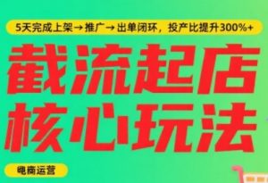 淘宝截流快速起店玩法,掌握暴力快速起店的流程,5天完成上架-推广-出单闭环-阳知网创资源库