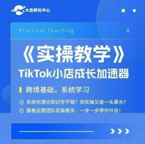 大卖家孵化中心TikTok实操课,TikTok小店成长加速器,跨境基础系统学习,一步一步带你开店-阳知网创资源库