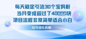 每天稳定引流30个人 当月变成超过了4个W项目流程非常简单适合小白-阳知网创资源库