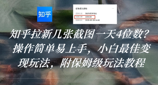 知乎拉新几张截图一天4位数?操作简单易上手,小白最佳变现玩法,附保姆级玩法教程-阳知网创资源库