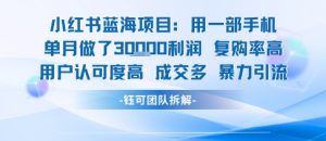 小红书蓝海项目，一部手机单月做了3W利润，小白也能月入过1W用户认可度高成交多-阳知网创资源库