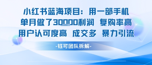小红书蓝海项目,一部手机单月做了3W利润,小白也能月入过1W用户认可度高成交多-阳知网创资源库