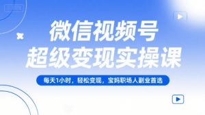微信视频号超级变现实操课,每天1小时,轻松变现,宝妈职场人副业首选-阳知网创资源库
