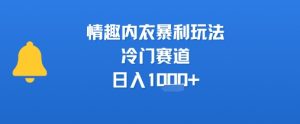 情趣内衣暴利玩法，冷门赛道，日入1k+-阳知网创资源库