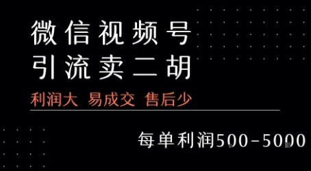 视频号卖二胡教程,利润大 易成交 售后少,一单利润5张+-阳知网创资源库