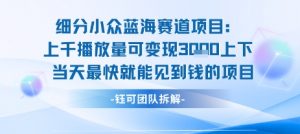 小众蓝海赛道项目:当天变现1k+适合新手操作 +适合长期玩-阳知网创资源库