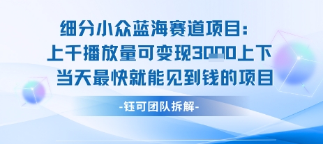 小众蓝海赛道项目:当天变现1k+适合新手操作 +适合长期玩-阳知网创资源库