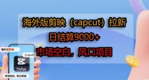 海外版剪映(capcut)拉新，日结算1k+，市场空白，风口项目-阳知网创资源库