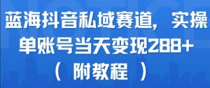 蓝海抖音私域赛道,实操单账号当天变现288+(附教程)-阳知网创资源库
