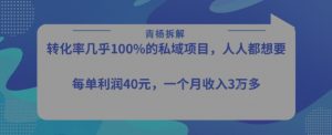 转化率最高的私域项目，每单利润40-50米，月入过1w-阳知网创资源库