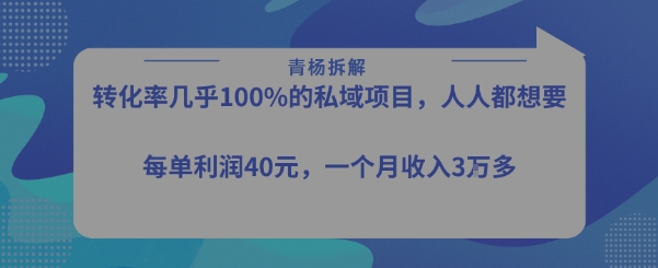转化率最高的私域项目，每单利润40-50米，月入过1w-阳知网创资源库