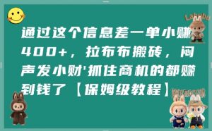 通过这个信息差一单小挣4张+，拉布布搬砖，闷声发小财抓住商机的都挣到钱了【保姆级教程】-阳知网创资源库