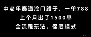 中老年赛道冷门路子，一单788，上个月出了1500单，全流程玩法，保底模式【揭秘】-阳知网创资源库
