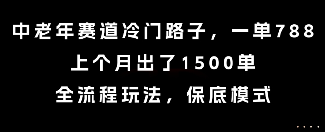 中老年赛道冷门路子，一单788，上个月出了1500单，全流程玩法，保底模式【揭秘】-阳知网创资源库