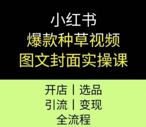 小红书爆款种草视频图文封面实操课,开店、选品、引流、变现全流程-阳知网创资源库