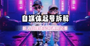 一天5张？自媒体起号完整拆解_新人自媒体起号必看【超详细攻略】-阳知网创资源库