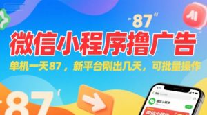 微信小程序看广告，单机一天87，新平台刚出几天，可批量操作，日入5张-阳知网创资源库