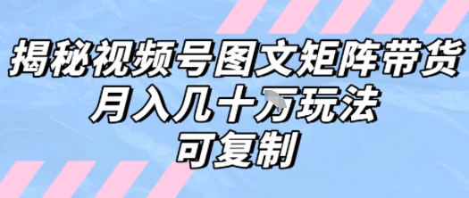 解密视频号图文矩阵带货，月入几个W的打法，可复制-阳知网创资源库
