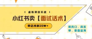 小红书虚拟项目掘金,卖面试话术资料,单店纯利20W+(附爆款笔记制作方法)-阳知网创资源库