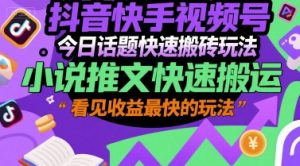 抖音快手视频号今日话题快速搬砖玩法，小说推文快速搬运，看见收益最快的玩法-阳知网创资源库