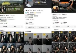抖音图文文案赛道新玩法,快速养号起号,广告收益分成+橱窗带货+教学收徒等-阳知网创资源库