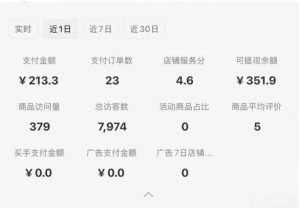 小红书虚拟店铺SOP保姆级教程,通过在小红书开店卖学科类资料变现(更新)-阳知网创资源库