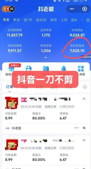 抖音短视频一刀不剪带货,不剪辑,不直播,每天发个视频,等着出单获取带货佣金-阳知网创资源库