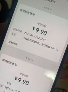 二次元男粉快速变现项目,私域卖虚拟产品,百分利润-阳知网创资源库