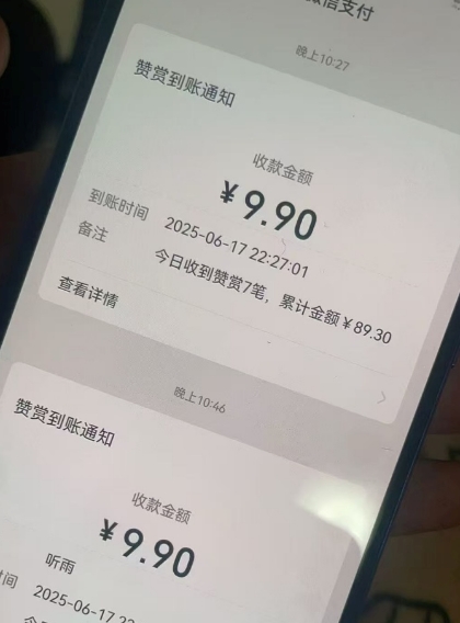 二次元男粉快速变现项目,私域卖虚拟产品,百分利润-阳知网创资源库